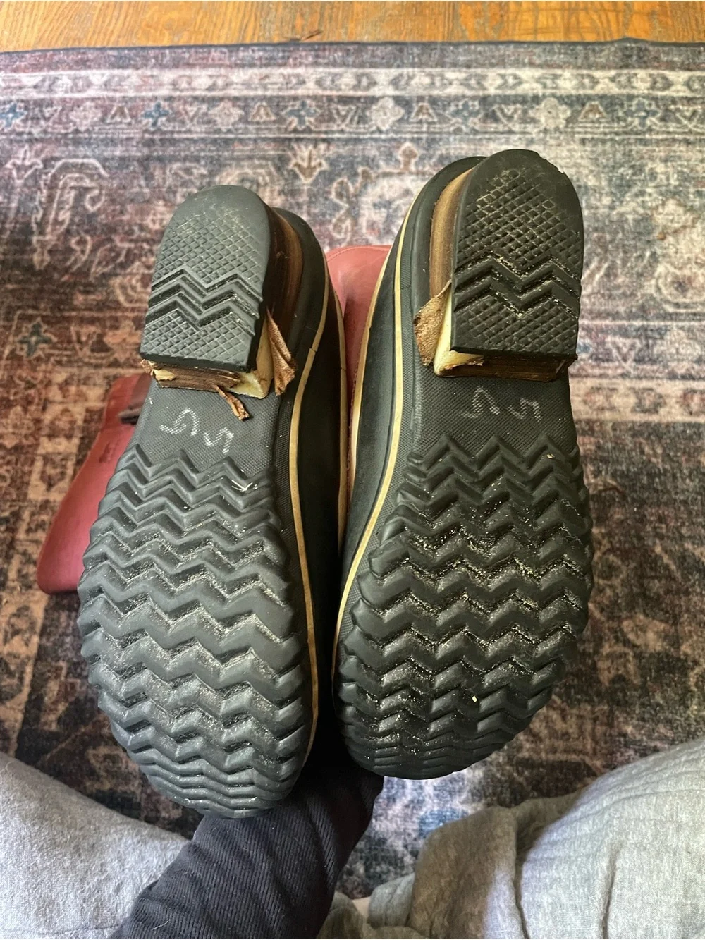 Sorel brown pre